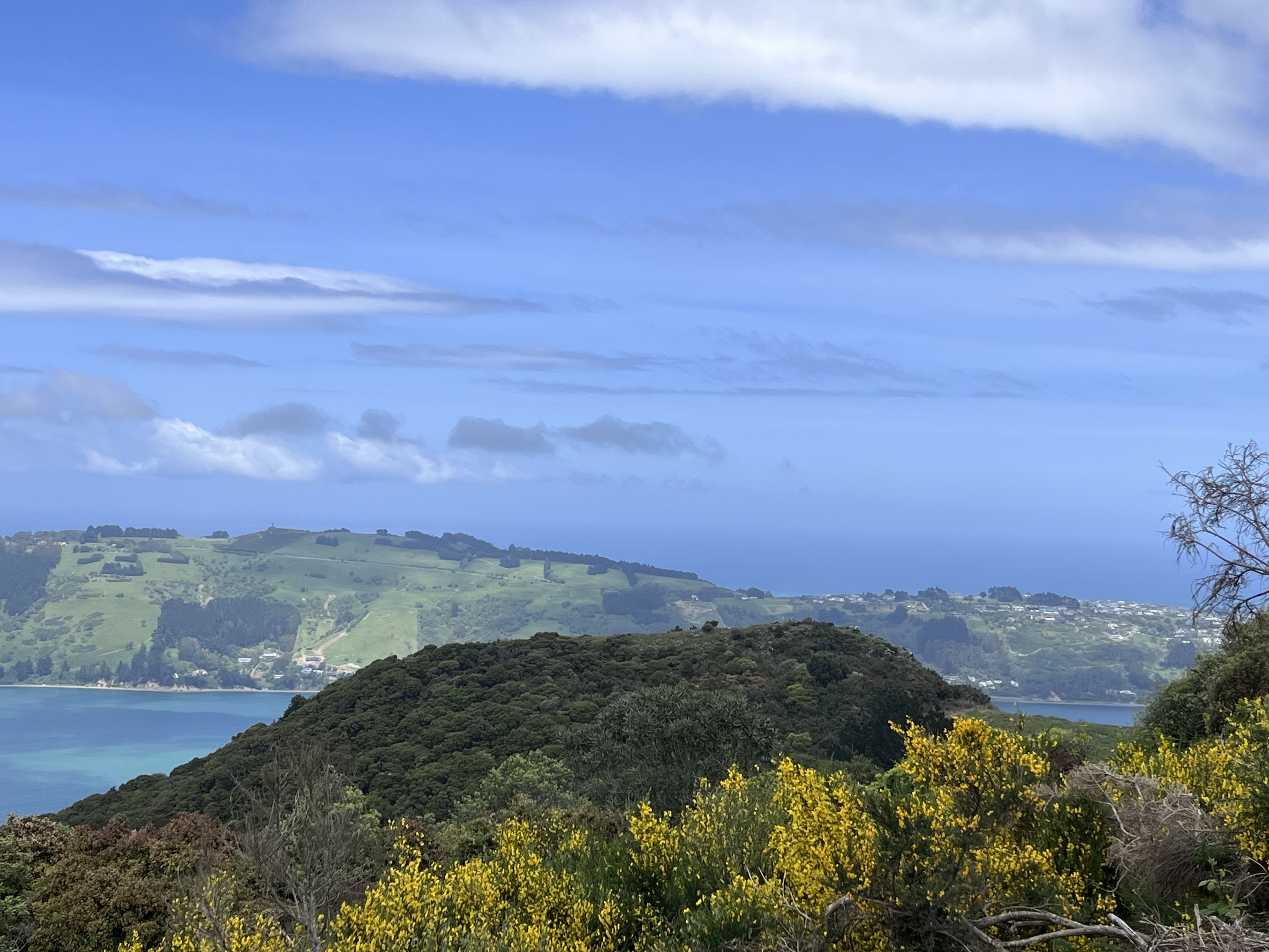 249 Signal Hill Road, Saint Leonards, Dunedin, 4房, 0浴, House