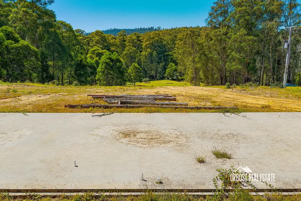Club Terrace  WHERE THE BLACKWOODS GROW