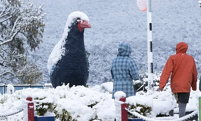 一夜入冬？奥克兰今日最高13℃，全国多地降雪，北岸大桥限速