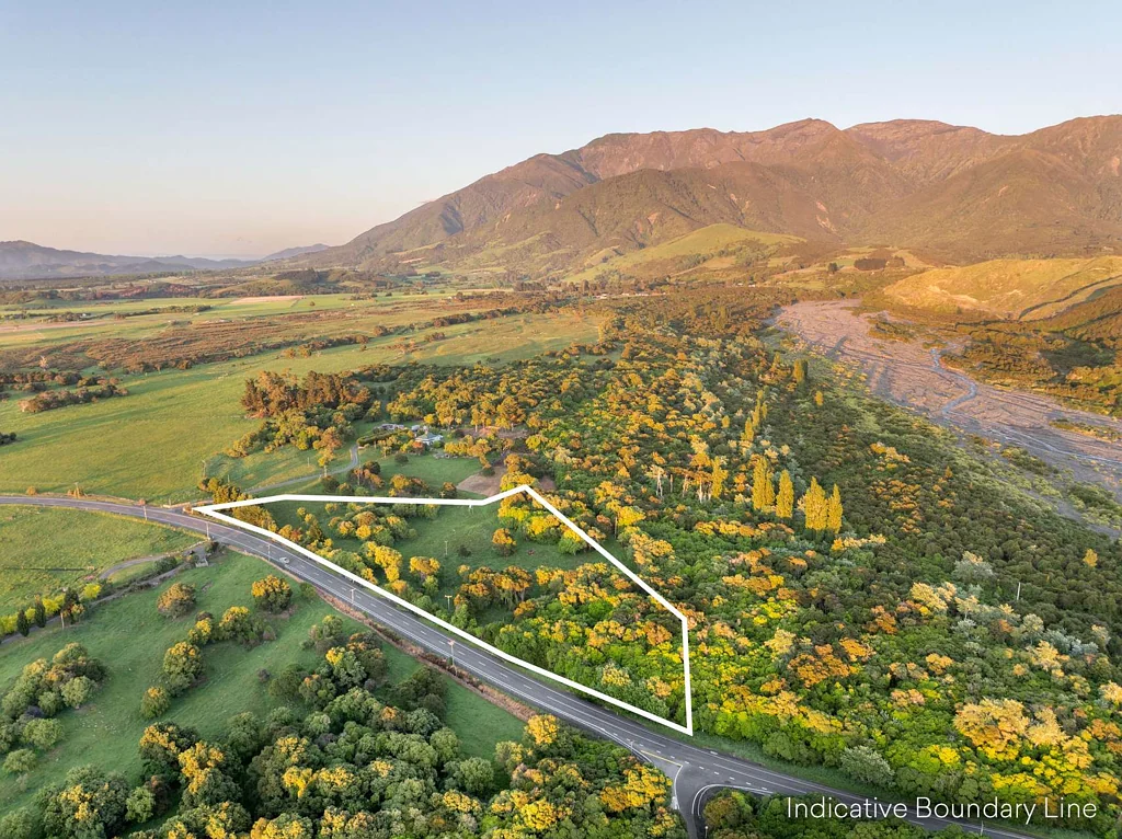 Kaikoura  A Haven For Nature Lovers, No Building Covenants!
