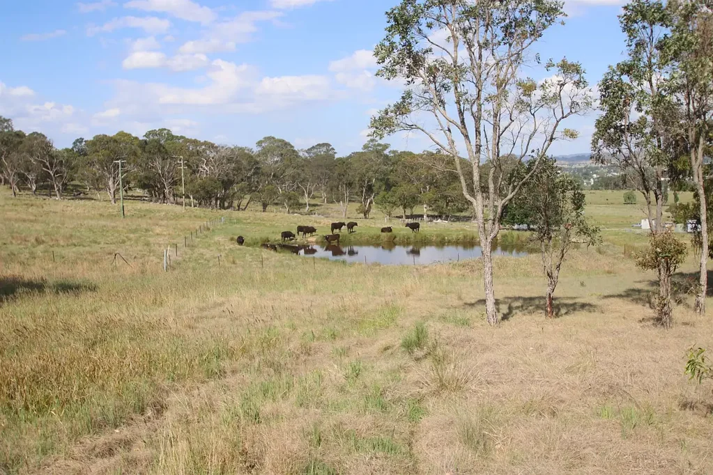 112 Sunnyside Loop Road, Tenterfield, NSW 2372