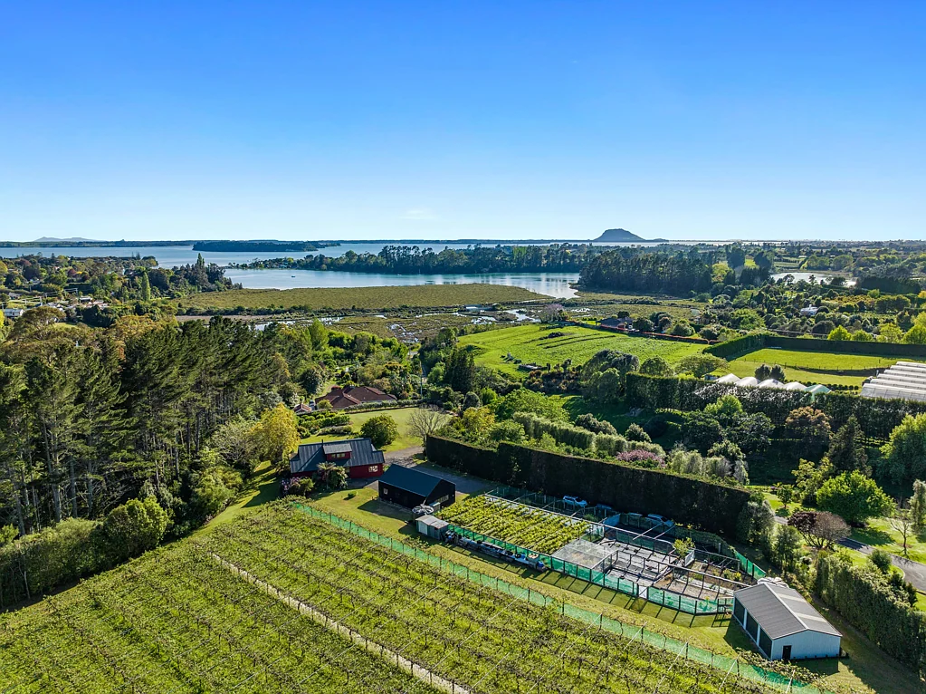 Whakamarama  Unique and organic with income on Plummers Point
