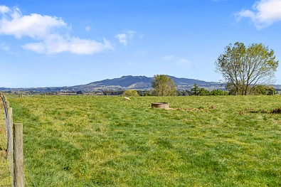 95D Pearson Road, Putaruru, South Waikato, Waikato, 0 침실, 0 욕실, Lifestyle Section