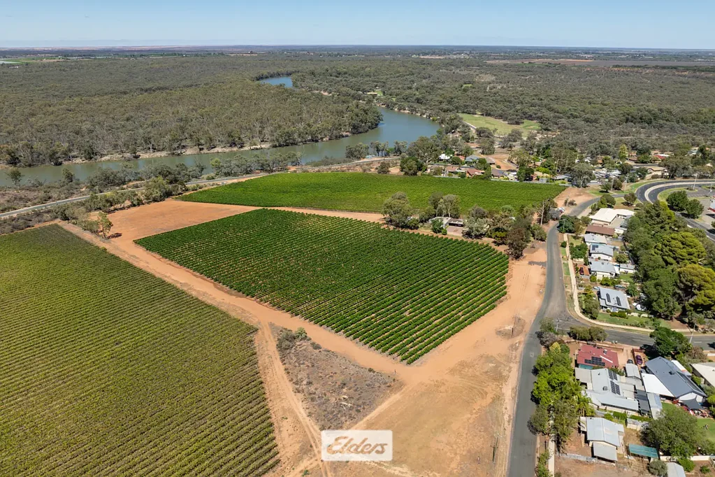 Dareton  Lifestyle Allotment – 3.51ha (8.67 acres)