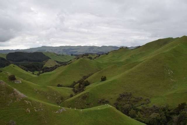 Rocky Hill Road, Te Wharau, Carterton, 0 habitaciones, 1 baños