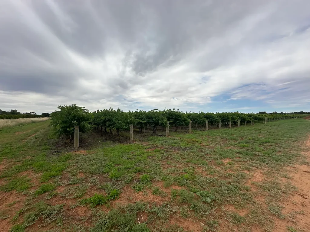 Lot 201 Jury Road, Monash, SA 5342