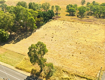 1418 Wombat Road, Wombat via, Young, Riverina, 0 침실, 0 욕실, Section