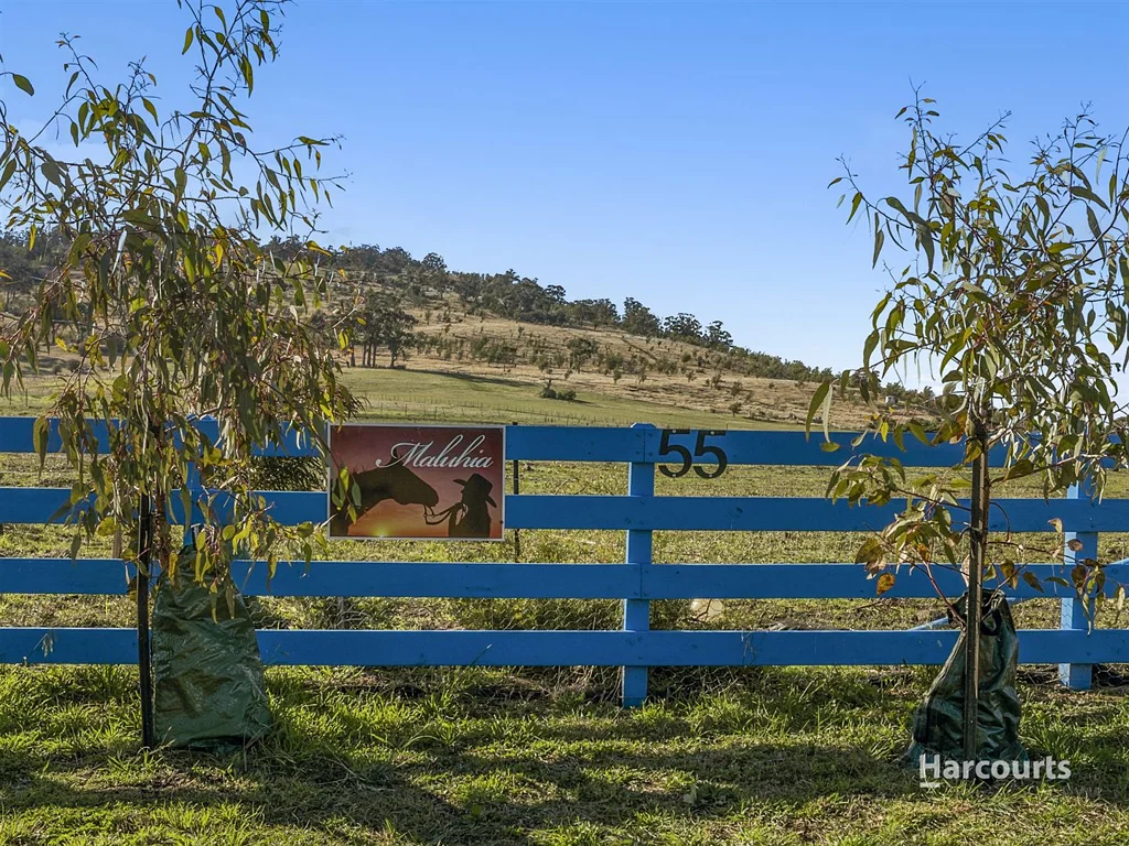 Pawleena Viticulture/Orchard Prime Land Opportunity with Water