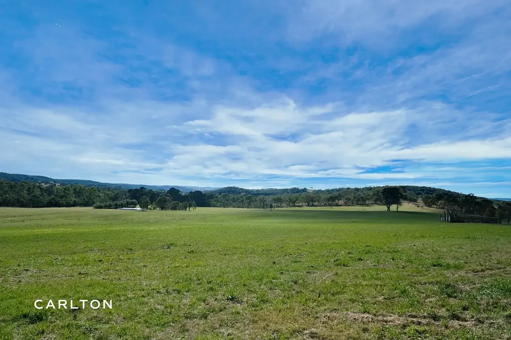 1945 Brayton Road, Big Hill, NSW 2579