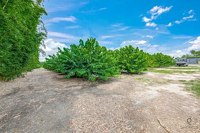 243 Wises Road, Alloway, QLD 4670, 7 Bedrooms, 3 Bathrooms, Lifestyle Property