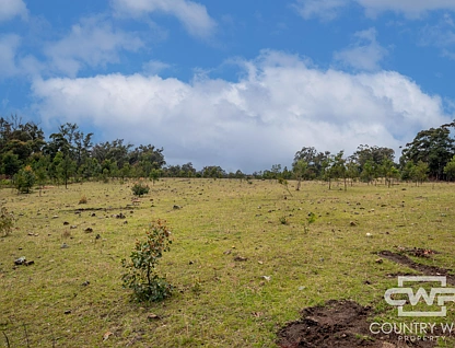 LOT 93/470 Silent Grove Road, Torrington, Tamworth, 0 Kuwarto, 0 Banyo, Lifestyle Property