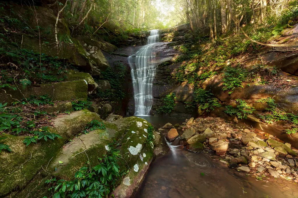 Beaumont 'Road Ends' - A Private & Untouched Wilderness with Endless Potential