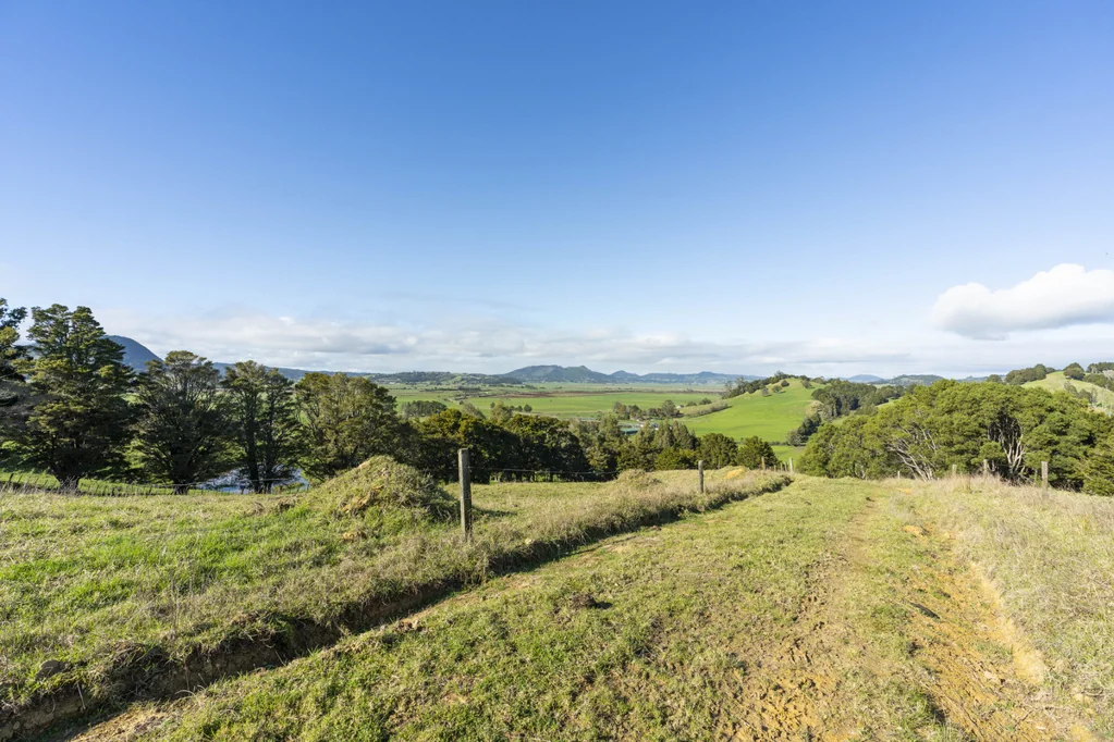 Hukerenui and Surrounds KING OF THE ROLLING HILL
