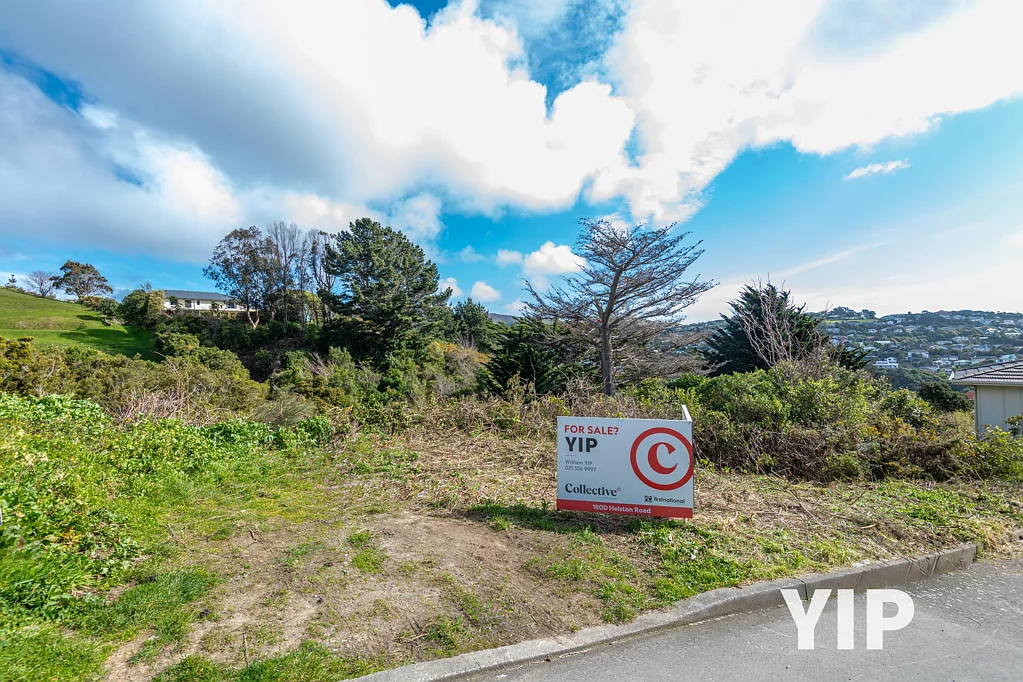 Paparangi  Sunny Outlook, Central Location? YIP!