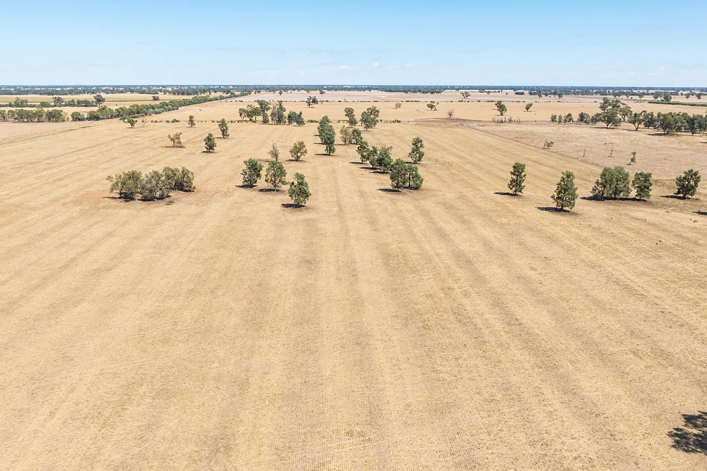 Corowa VERSATILE MIXED FARMING PROPERTY - 1756*Acres/710*Ha