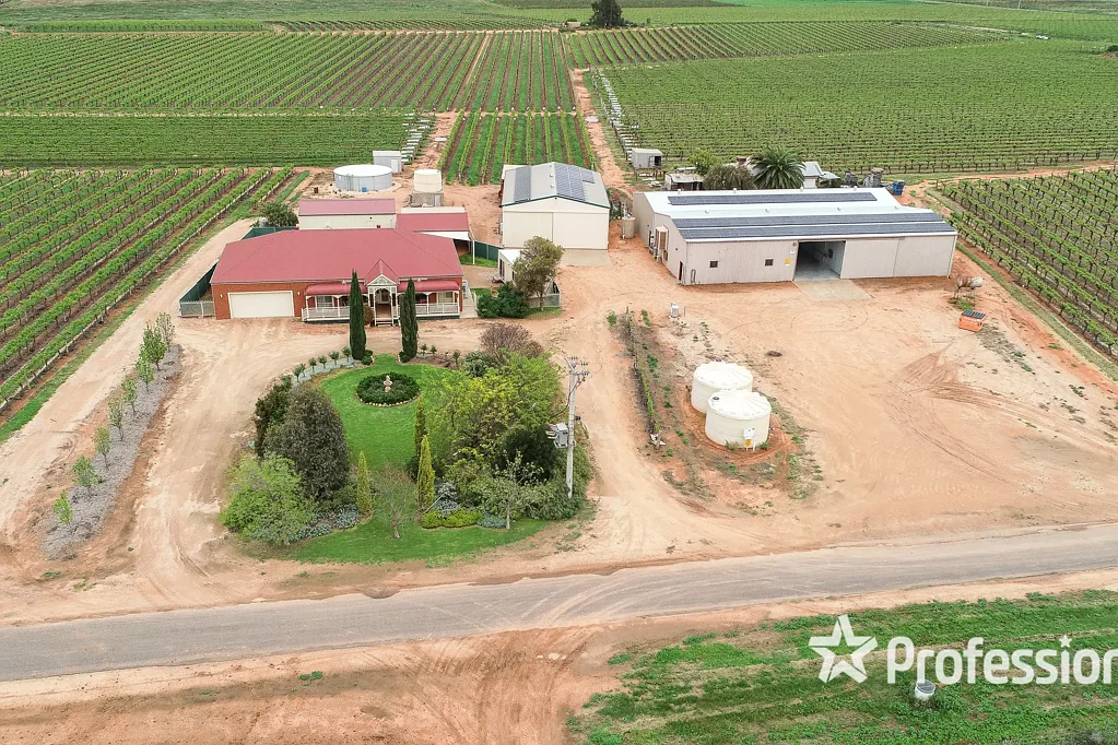 Red Cliffs Top Class Table Grape Property - 23.98Ha (59.25acres)
