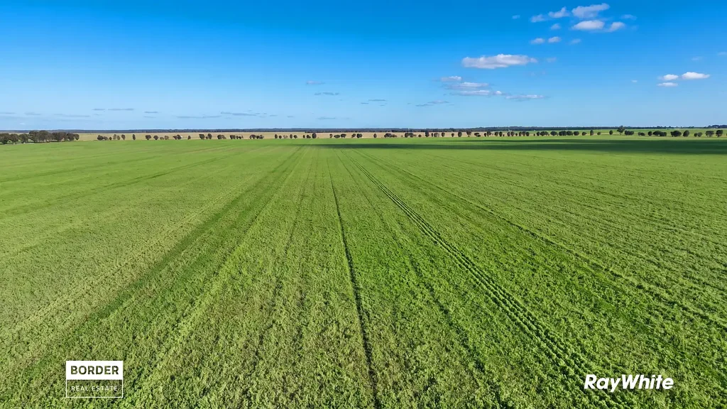 Terrick Terrick East  Mitiamo Mixed Cropping & Grazing - Haw Aggregation