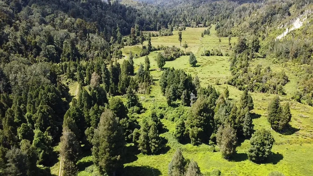 Karamea Mullocky Creek - Karamea - Absolute Privacy