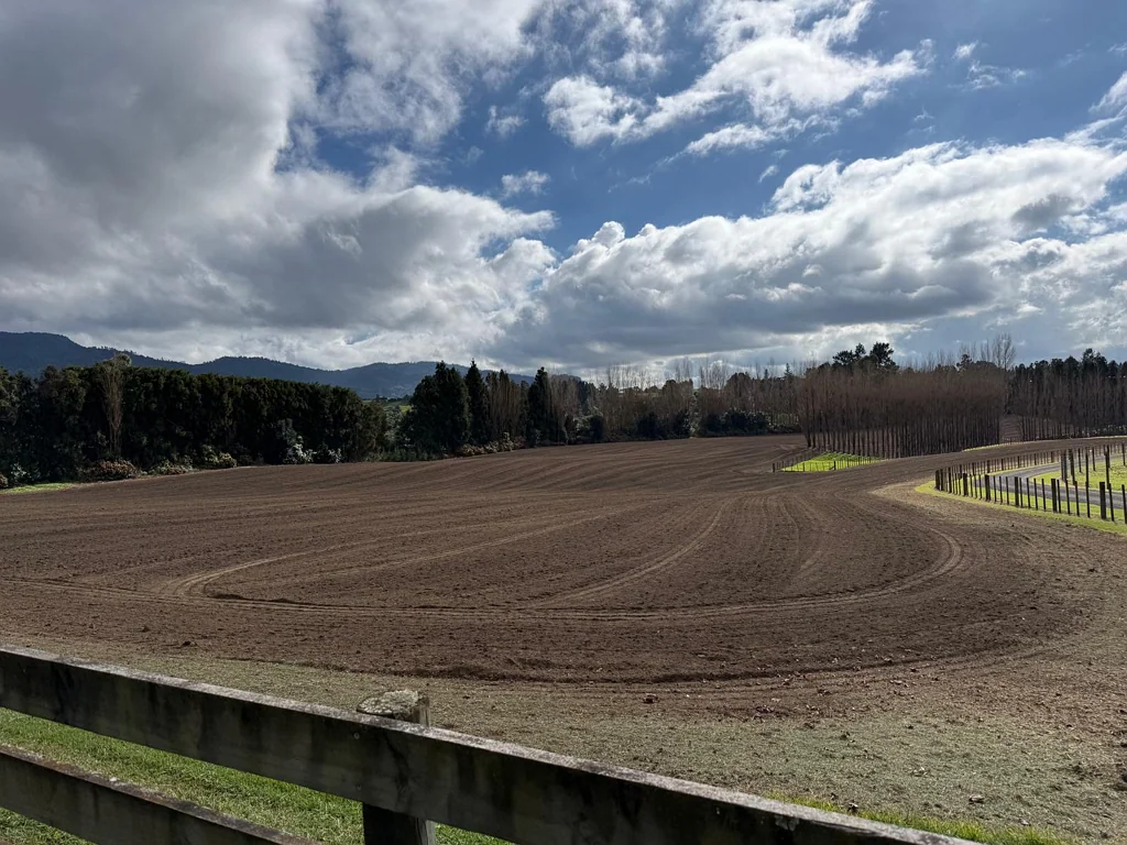 Katikati Rare prime kiwifruit land ready to roll!