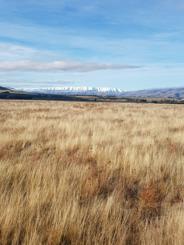 100 Gladsmuir Road, Queensberry, Otago, 0 Bedrooms, 0 Bathrooms