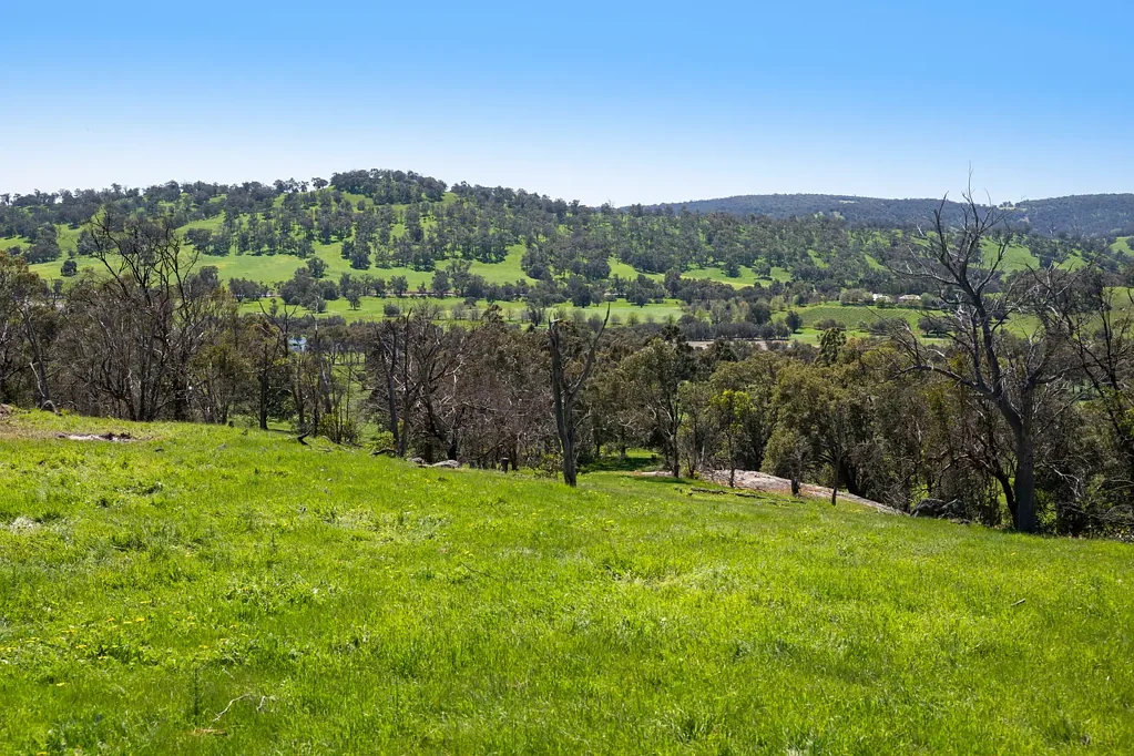 Lower Chittering "RARE EARTH"