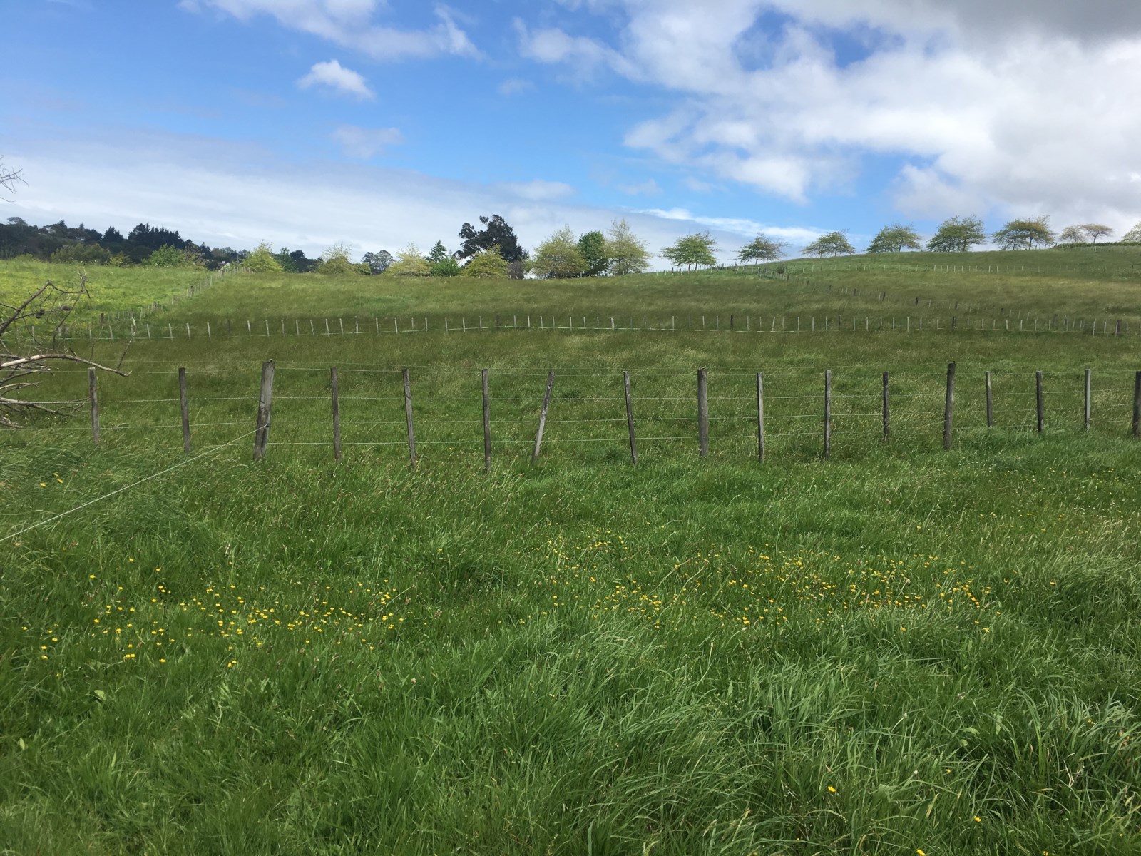 Mahoenui Valley Road, Coatesville, Auckland - Rodney, 0 Bedrooms, 0 Bathrooms