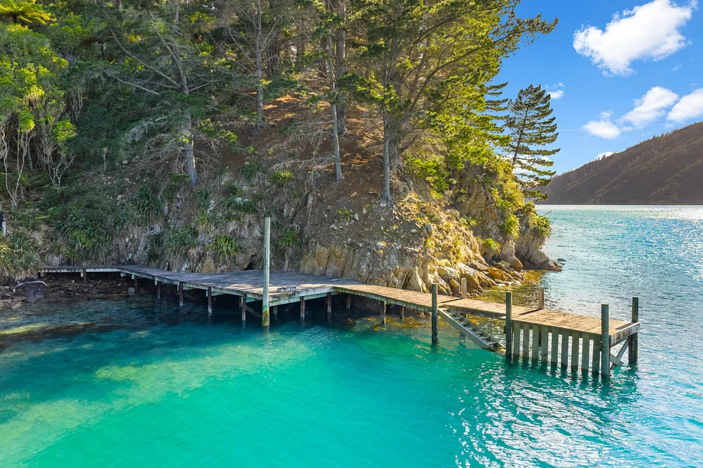 Queen Charlotte Sound Where waterfront dreams meet Maraetai magic