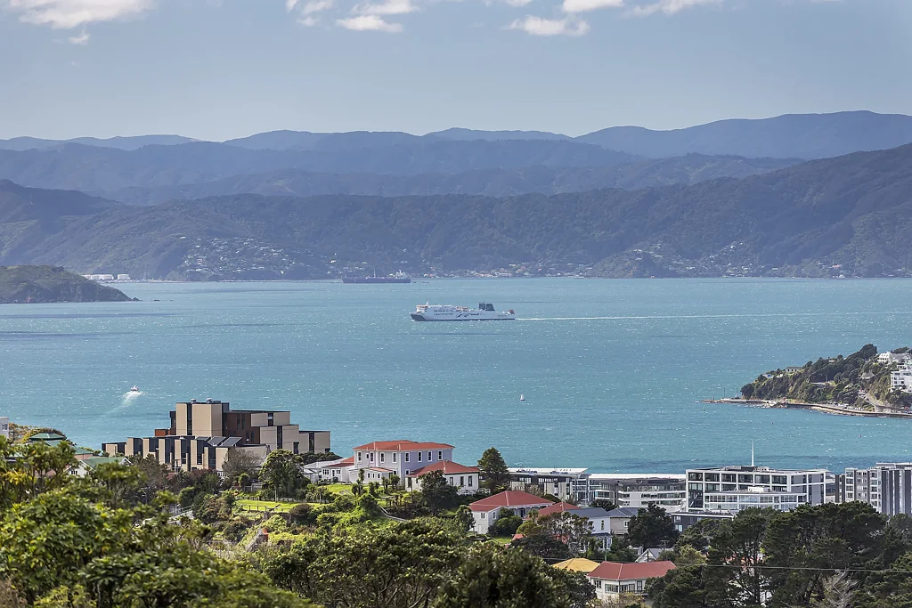 Aro Valley 4ਬੈੱਡਰੂਮ Pleasant on Mount Pleasant