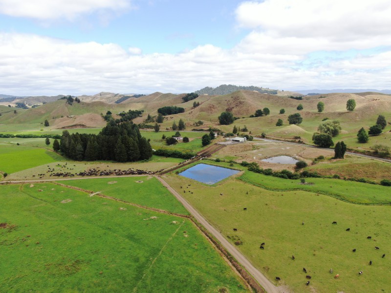 921 Ohura Road, Aria, Waitomo, 0 phòng ngủ, 0 phòng tắm