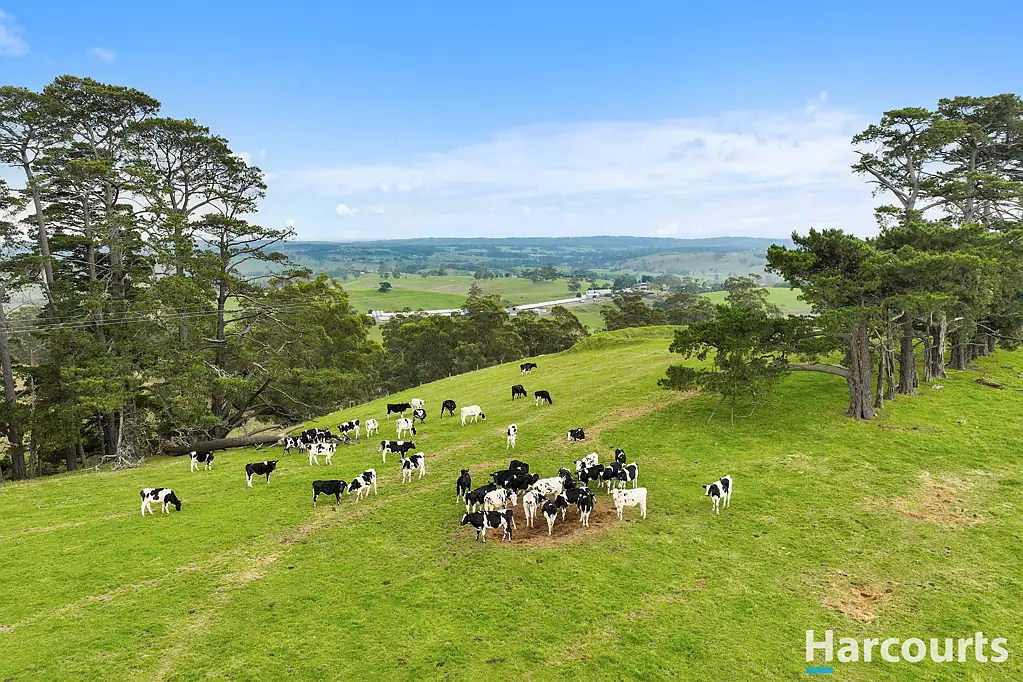 Mountain View 8.2 acres of Opportunity
