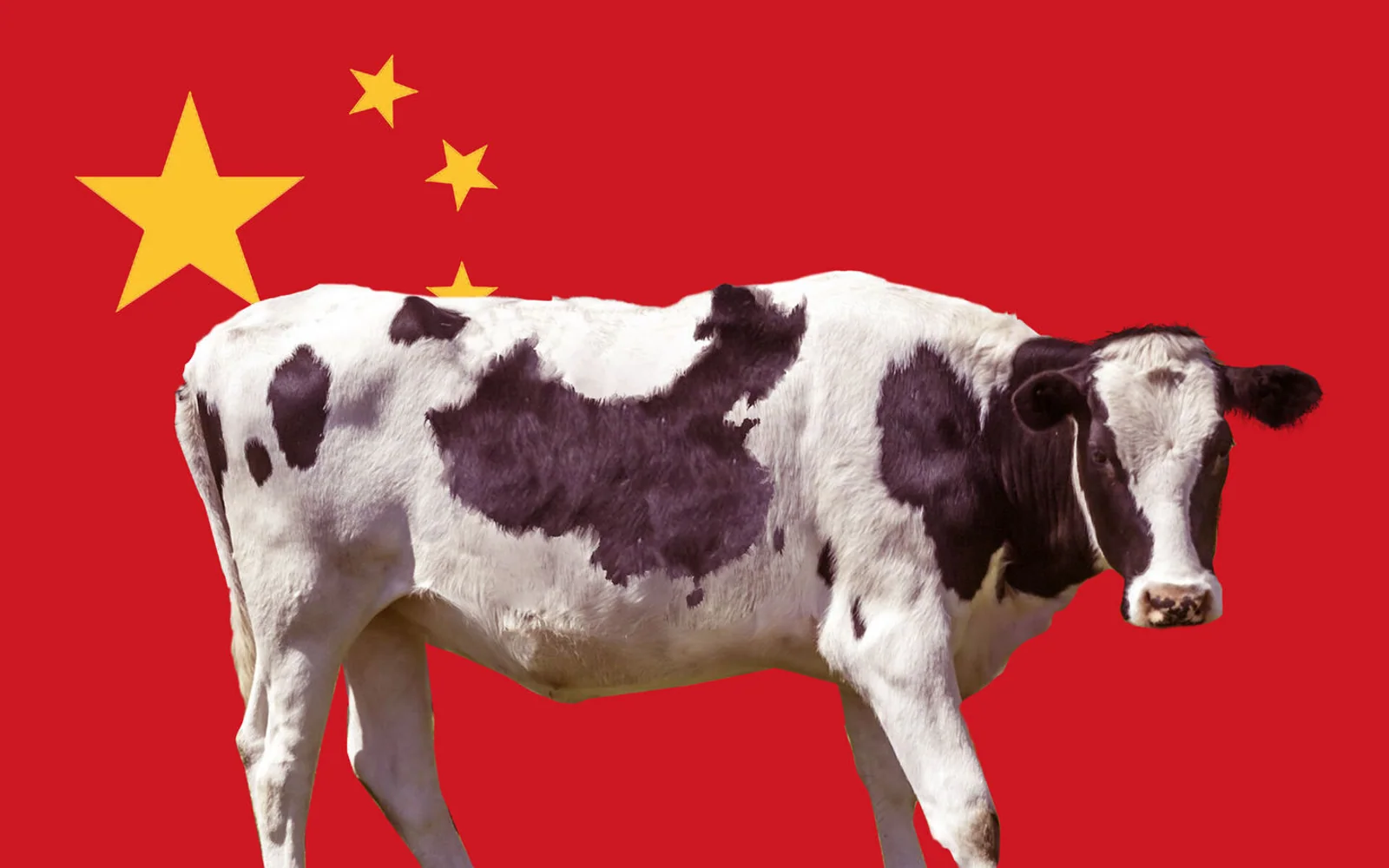 新西兰困局：中美对抗之下，是否要寻求中国替代市场？