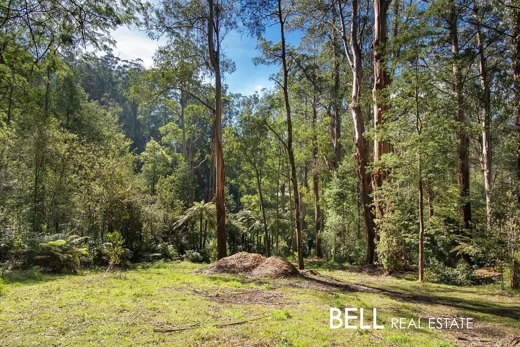 Sherbrooke Your own slice of the Dandenongs – ¾ acre of pristine bushland
