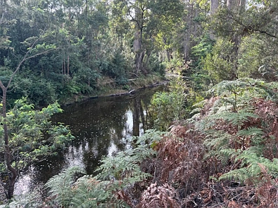 . Calder Road, Calder, TAS 7325, 0 slaapkamers, 0 badkamers, Lifestyle Property