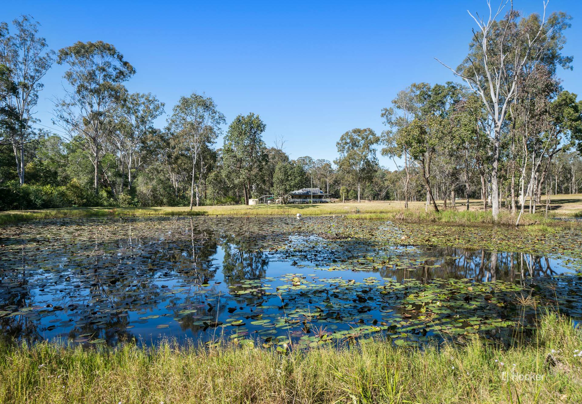 326 FRANKS RD, TAROMEO QLD 4314, 0房, 0浴, House