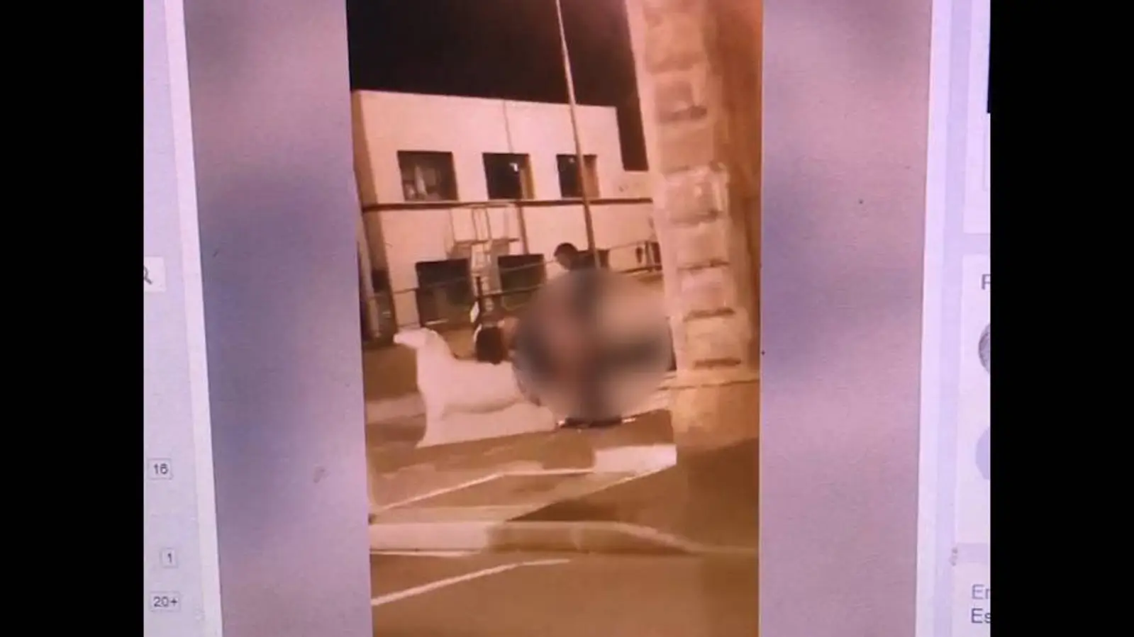 喝了酒or吸了毒？男女大街上露天啪啪啪！新西兰警方：“鼓励报案，公共猥亵是犯罪！”