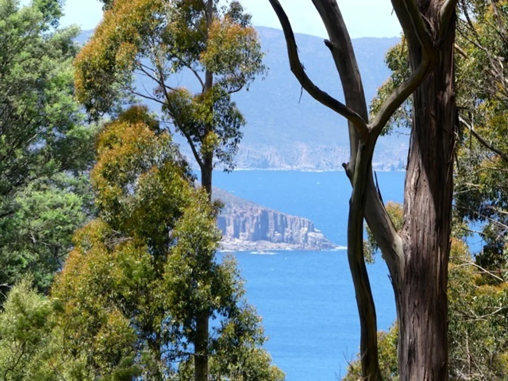 Port Arthur "Sea and Tree Changers" Is this the life change you've been dreaming of?