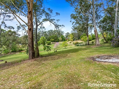 12 Collingwood Drive, Matcham, NSW 2250, 0 slaapkamers, 0 badkamers, Section