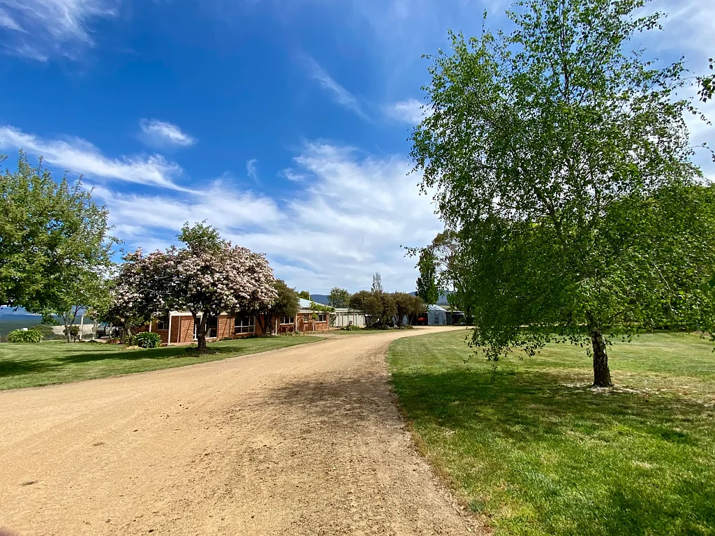 Braidwood "Tintinara"