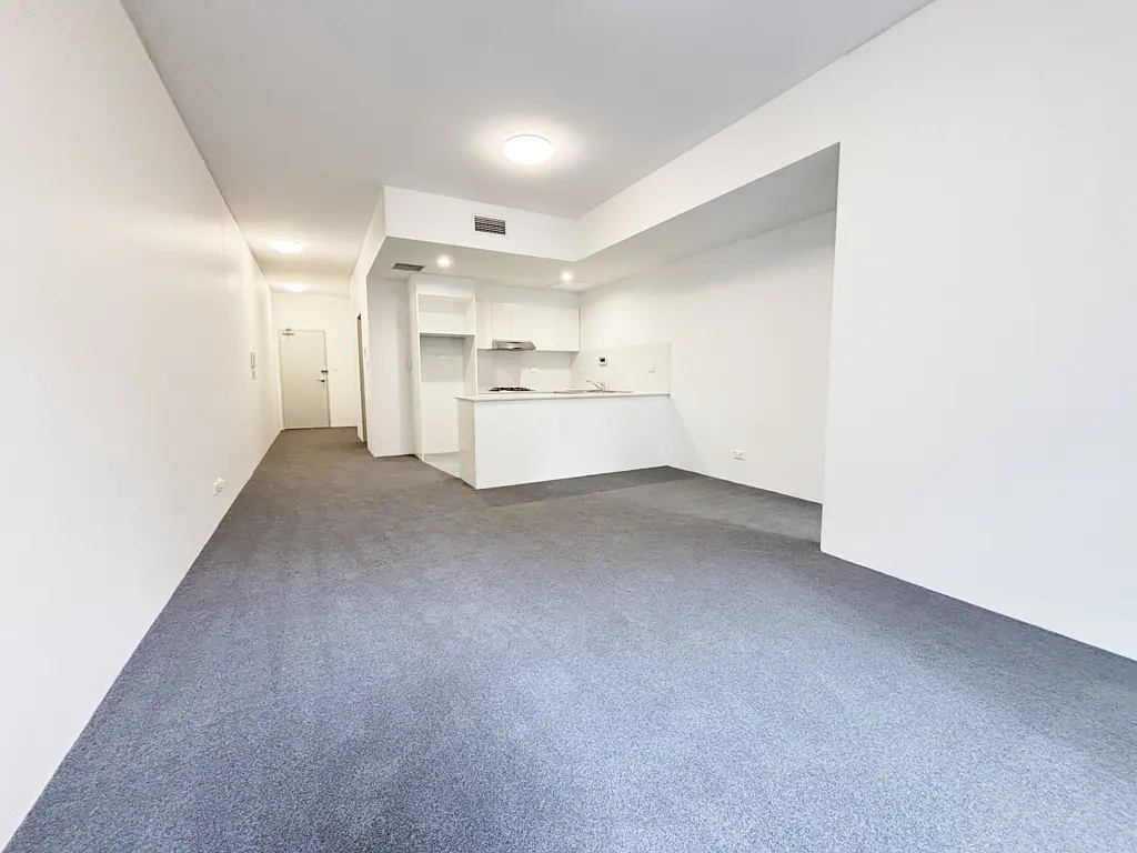 Spacious 1 bedroom apartment in Chippendale