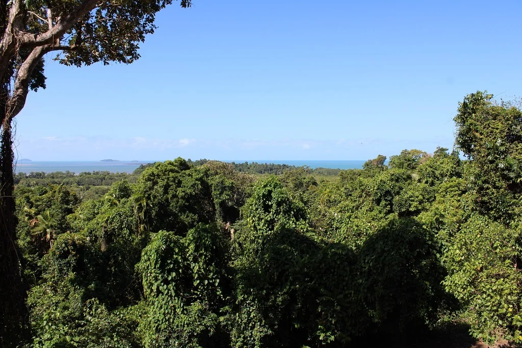 Bingil Bay HIGH RAINFOREST, AND CORAL SEA AND ISLAND VIEWS