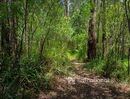 2780 Gembrook-Launching Place Road, Gembrook, Traralagon , 0 રૂમ, 0 બાથરૂમ, Section