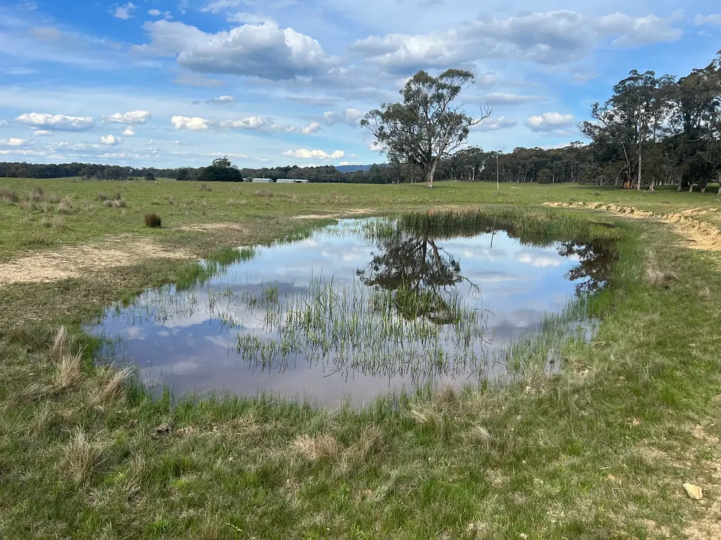 Ashbourne 7.3 ha (18 acres) with planning permit