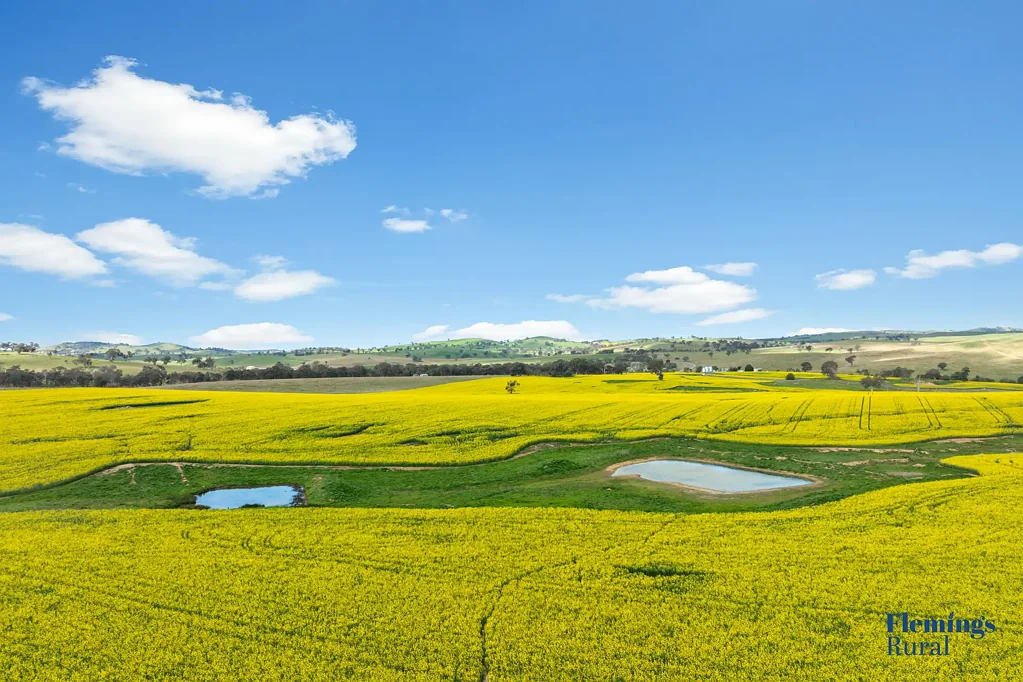 Boorowa TURN KEY CROPPING & GRAZING OPPORTUNITY.