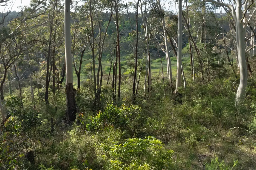 Katoomba Fenced Vacant Land with Endless Potential