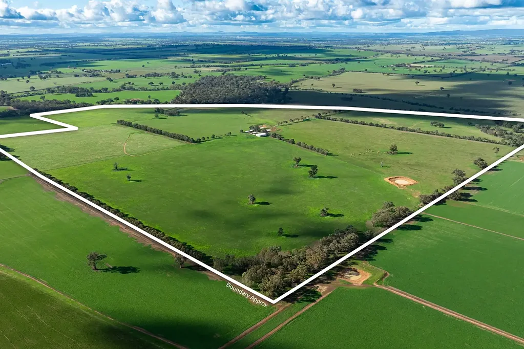 Burrumbuttock Quality Grazing & Lifestyle Opportunity    145.4*HA | 359.3*Acres