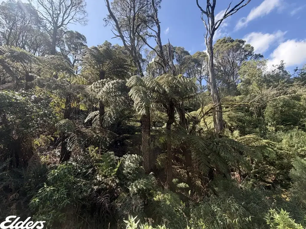 Madalya WILDERNESS WORTHY OF PRESERVATION