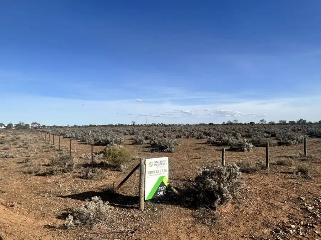 Section 65 Goyder Highway, Morgan, SA 5320