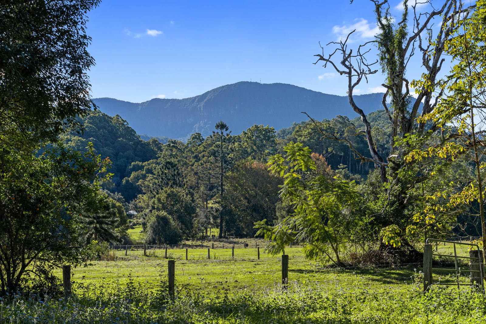 342 UPPER CRYSTAL CREEK RD, UPPER CRYSTAL CREEK NSW 2484, 0房, 0浴, Lifestyle Property