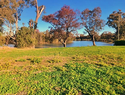 2 Malibu Dr, Goondiwindi, Darling Downs, 0 રૂમ, 0 બાથરૂમ, Section