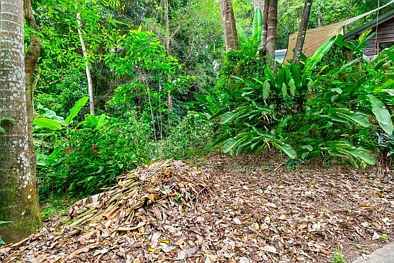14 Jagera Close, Kamerunga, QLD 4870, 0 slaapkamers, 0 badkamers, Section